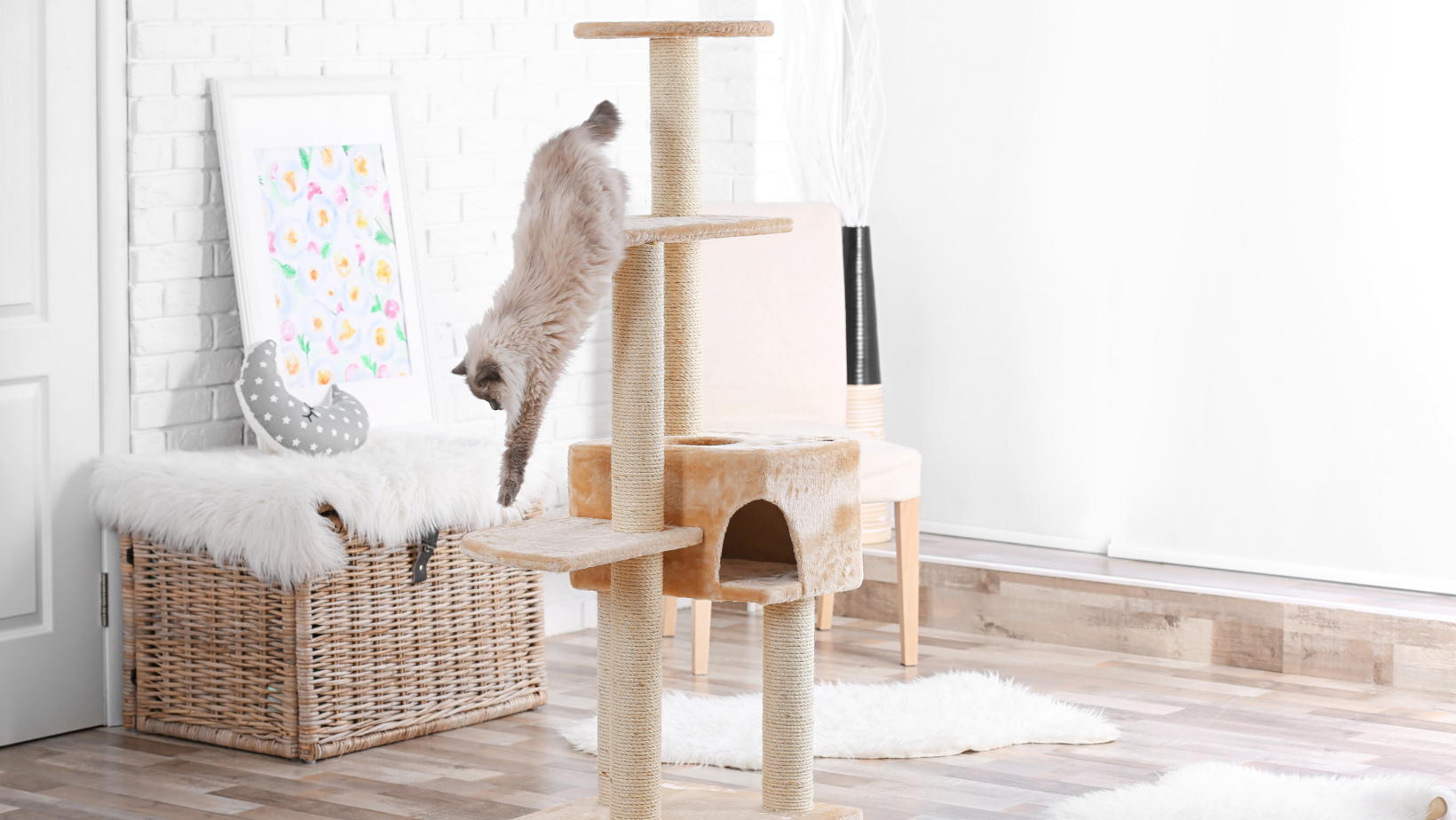 An image of a variety of DIY cat furniture creations, including scratching posts, cat trees, and cozy lounging spots, accompanied by the title 'Crafting Feline Paradise: DIY Cat Furniture Ideas', highlighting creative solutions for enriching the lives of cats at home.