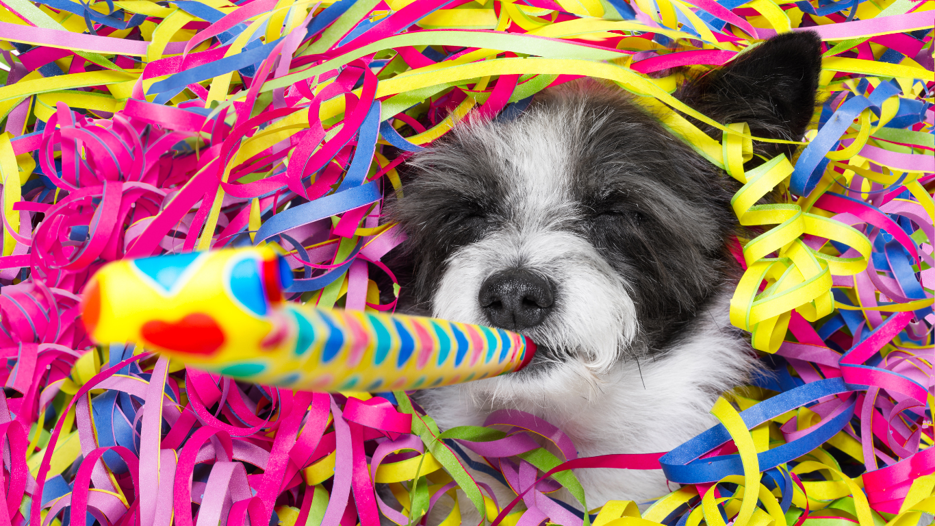 An image featuring a welcoming home environment with dog essentials such as toys, beds, and food bowls, alongside the title 'Preparing Your Home for a New Dog: A Step-by-Step Guide', offering practical advice and tips for prospective pet owners on getting their home ready for a new furry family member.