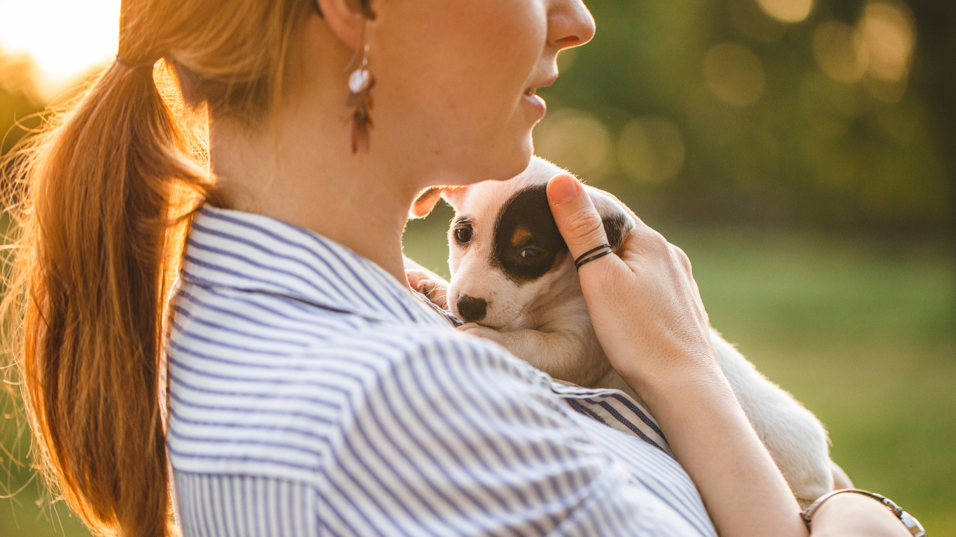 An image illustrating a newly adopted dog interacting positively with other dogs and people in various social settings, alongside the title 'The Importance of Socialization for Newly Adopted Dogs', highlighting the crucial role of socialization in helping dogs adjust to their new homes and build confidence in their surroundings