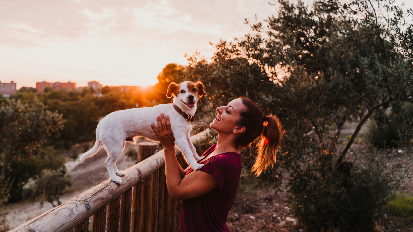 She is improving cardiovascular health through canine companionship.