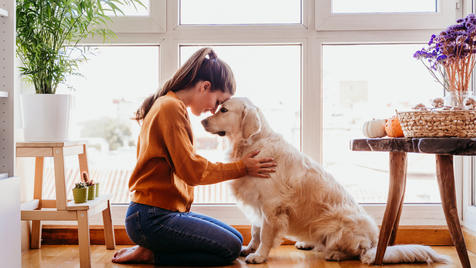 An image featuring pets enthusiastically playing indoor games with their owners, accompanied by the title 'Engaging Indoor Games to Keep Your Pets Active and Happy', offering ideas and inspiration for pet owners to entertain and exercise their furry companions indoors.