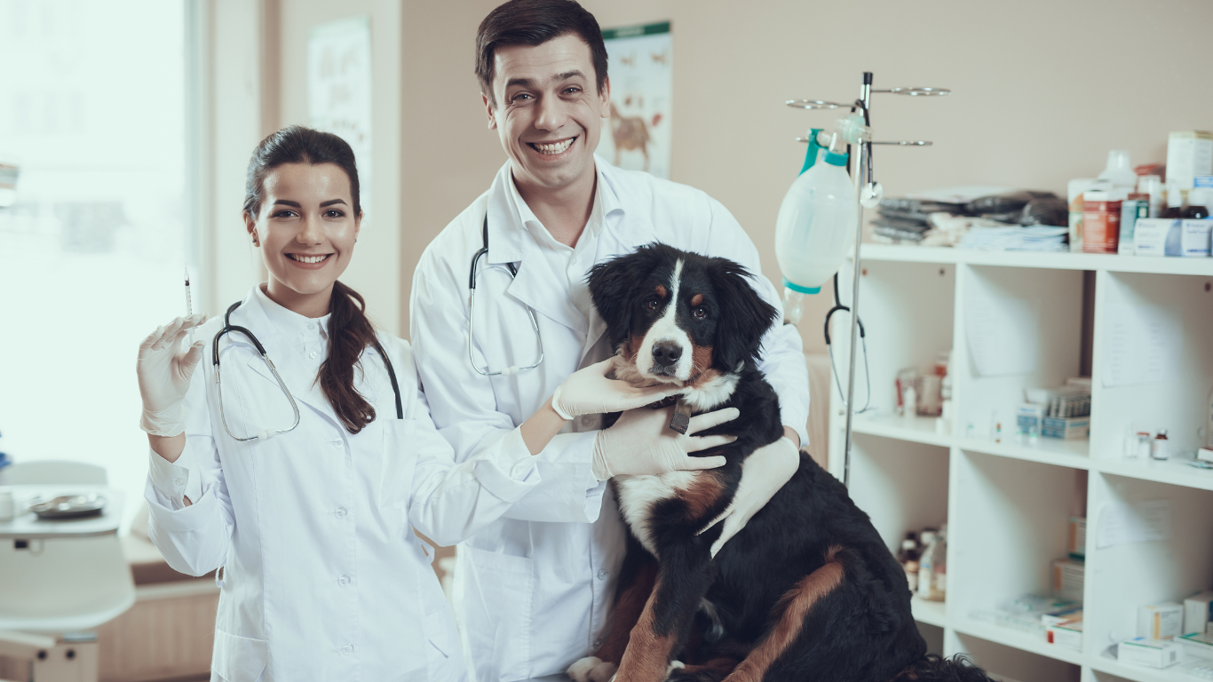 An image featuring a veterinarian attentively listening to a pet owner's concerns, with the title 'Ask a Veterinarian - Your Pet's Health Matters!', inviting pet owners to seek expert advice and guidance on their pet's well-being.