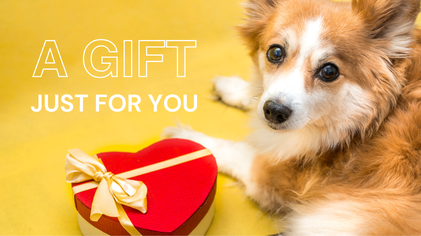 An image featuring a vibrant $100 Petco gift card surrounded by pet toys and accessories, alongside the title 'Unlock the Joy of Pet Parenthood with a $100 Petco Gift Card! | Petocare', inviting viewers to enter a giveaway or promotion to enhance their pet parenting experience.