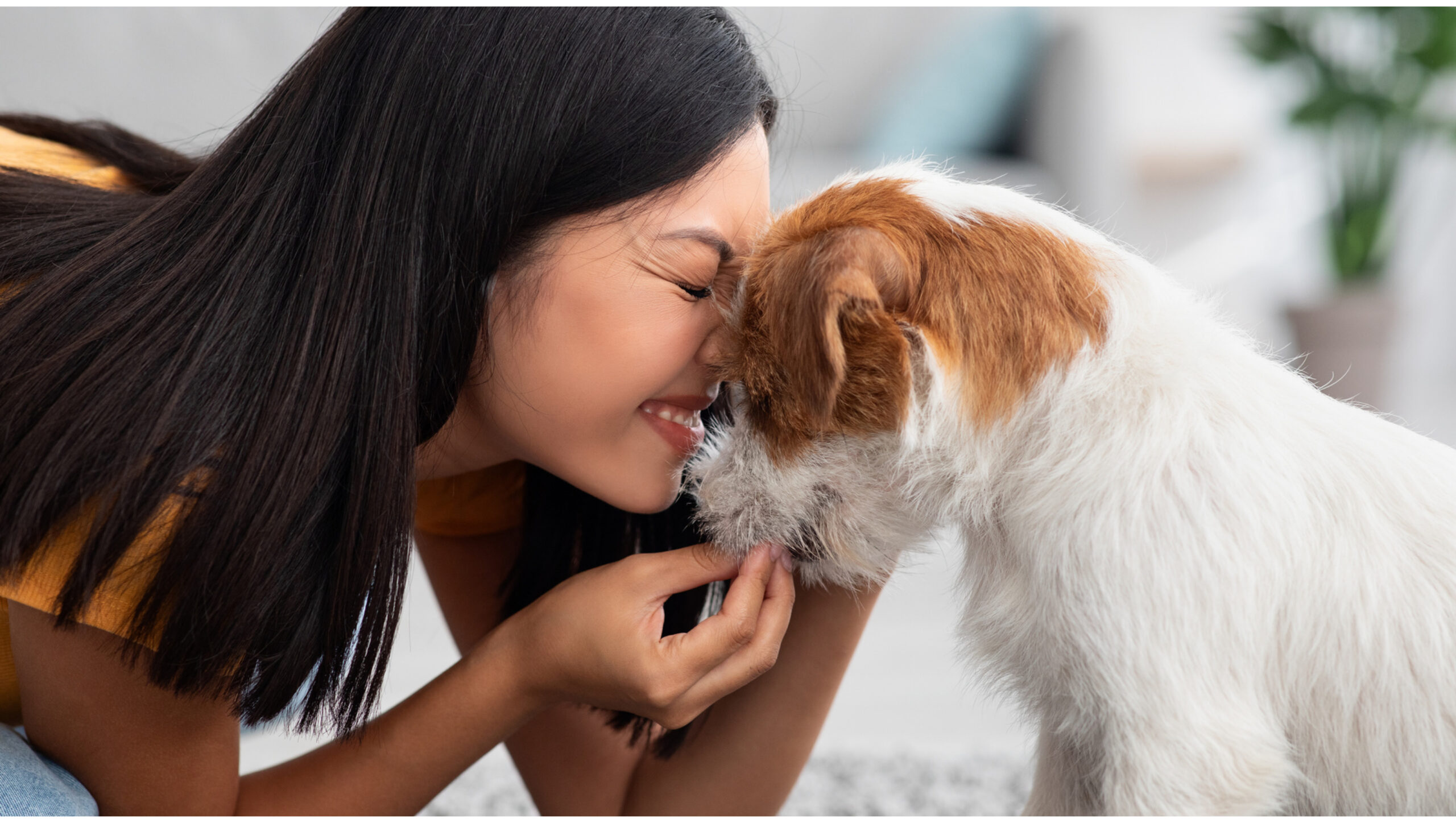 An image depicting a person lovingly caring for a foster dog in a home setting, accompanied by the title 'Fostering a Dog: A Rewarding Experience Before Adoption', highlighting the fulfilling journey of providing temporary shelter, love, and care to dogs in need before they find their forever homes