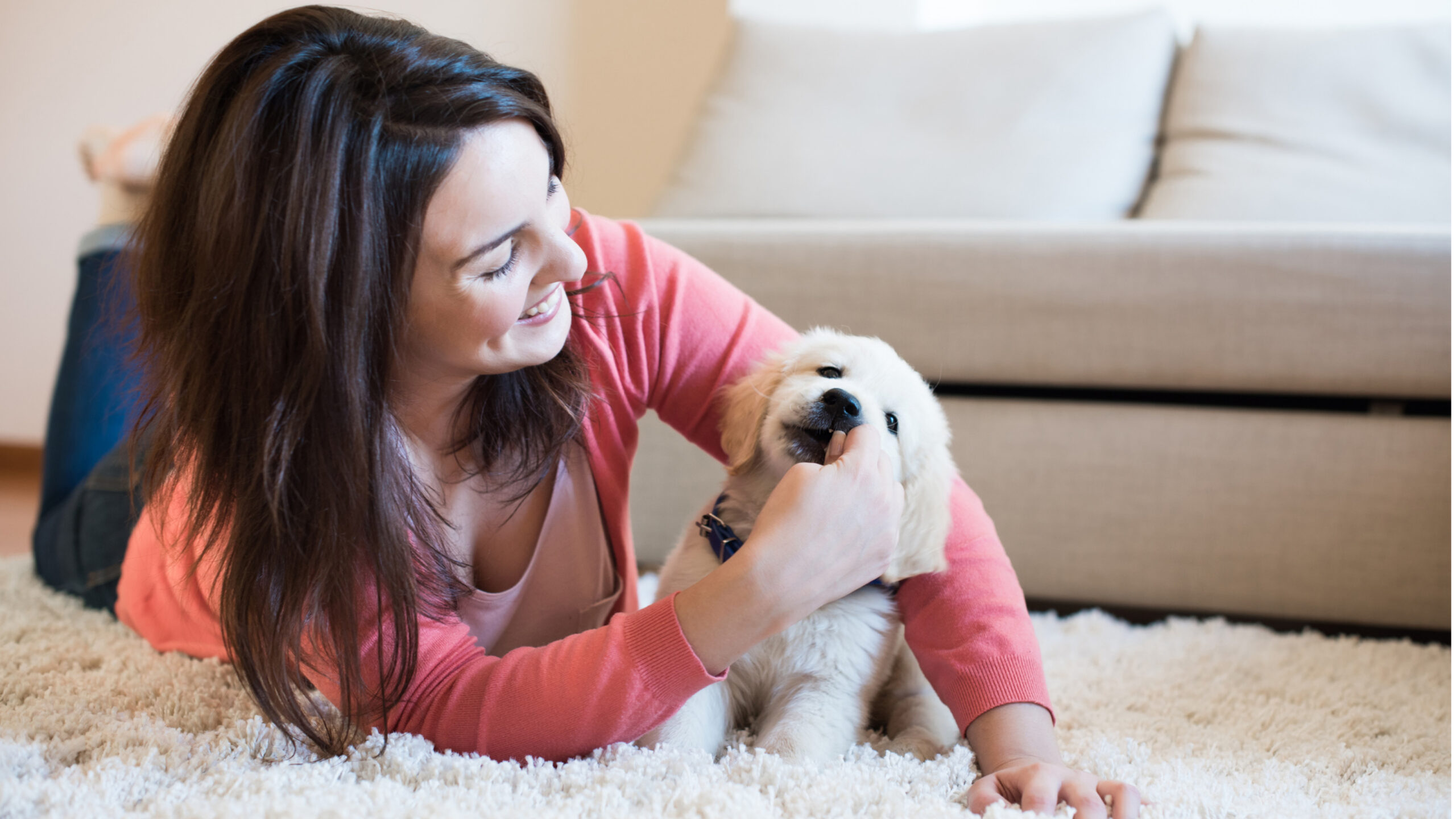 An image displaying essential dog supplies such as a leash, collar, food bowls, toys, and a dog bed, with the title 'Preparing for a Dog: Essential Supplies Every New Pet Parent Needs', serving as a guide for new pet owners in acquiring necessary items for their furry companion.