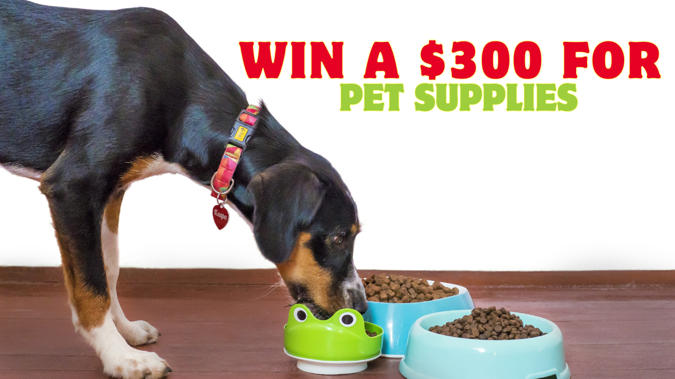 Pamper Your Pet Win 300 Worth of Pet Supplies