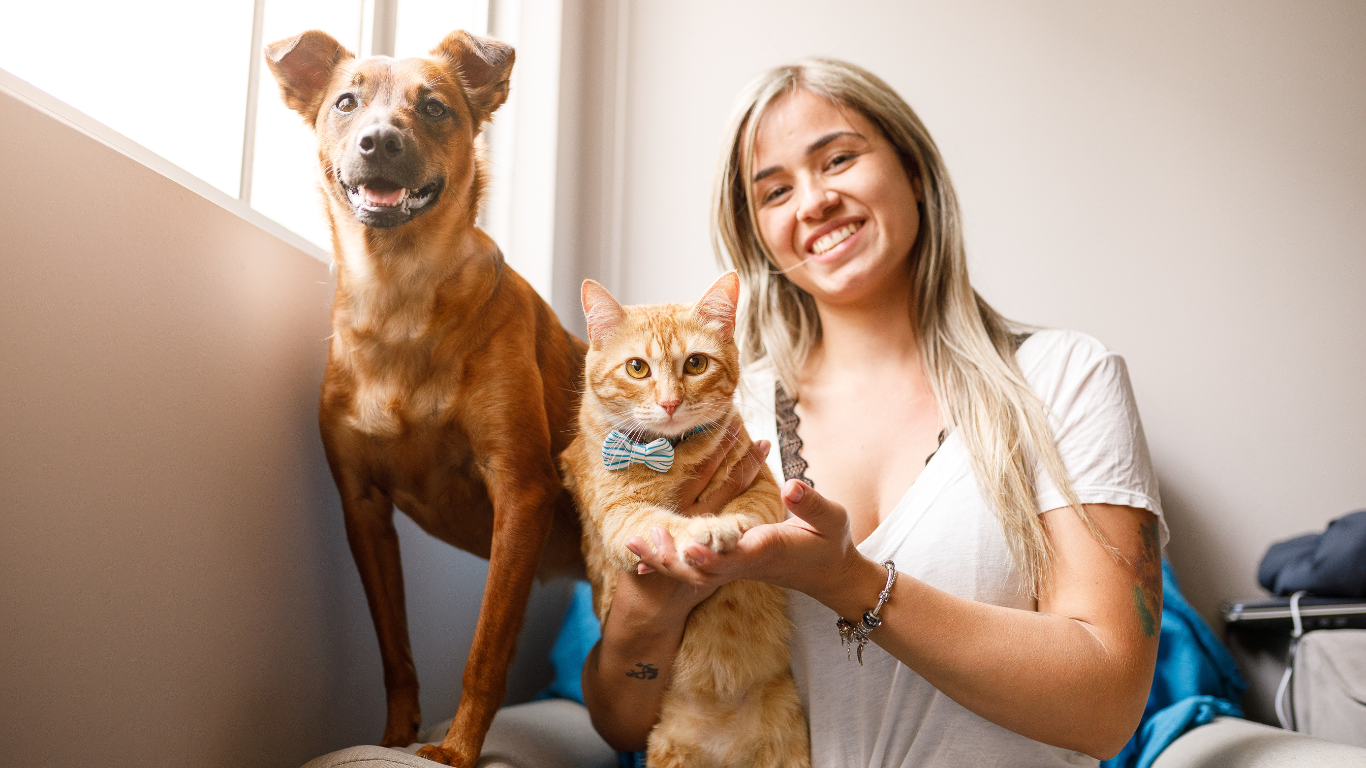 An image featuring a happy dog enjoying a playful moment, with the title 'Experience Wellness for Your Furry Friend with ElleVet Pet CBD - Your Trusted Pet Companion!', promoting the benefits of ElleVet Pet CBD for pet wellness and companionship.