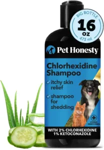 Various pet shampoo bottles lined up, showcasing the top choices for keeping your pet's coat clean and healthy