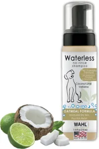 Various pet shampoo bottles lined up, showcasing the top choices for keeping your pet's coat clean and healthy