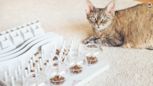 A playful dog enthusiastically interacts with a variety of engaging toys, highlighting the top picks to keep pets entertained. Text overlay reads: 'Busy Bee Pets? Top 5 Toys to Keep Your Furry Friend Entertained All Day!