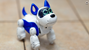 A playful dog enthusiastically interacts with a variety of engaging toys, highlighting the top picks to keep pets entertained. Text overlay reads: 'Busy Bee Pets? Top 5 Toys to Keep Your Furry Friend Entertained All Day!