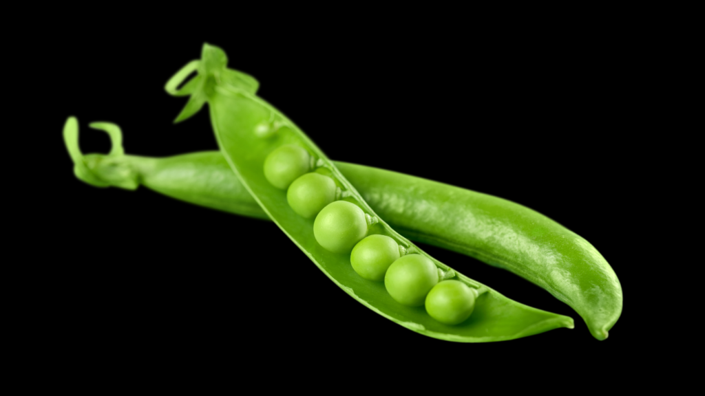 Various fruits and vegetables arranged in bowls, showcasing healthy dog treat alternatives that your pup will love.