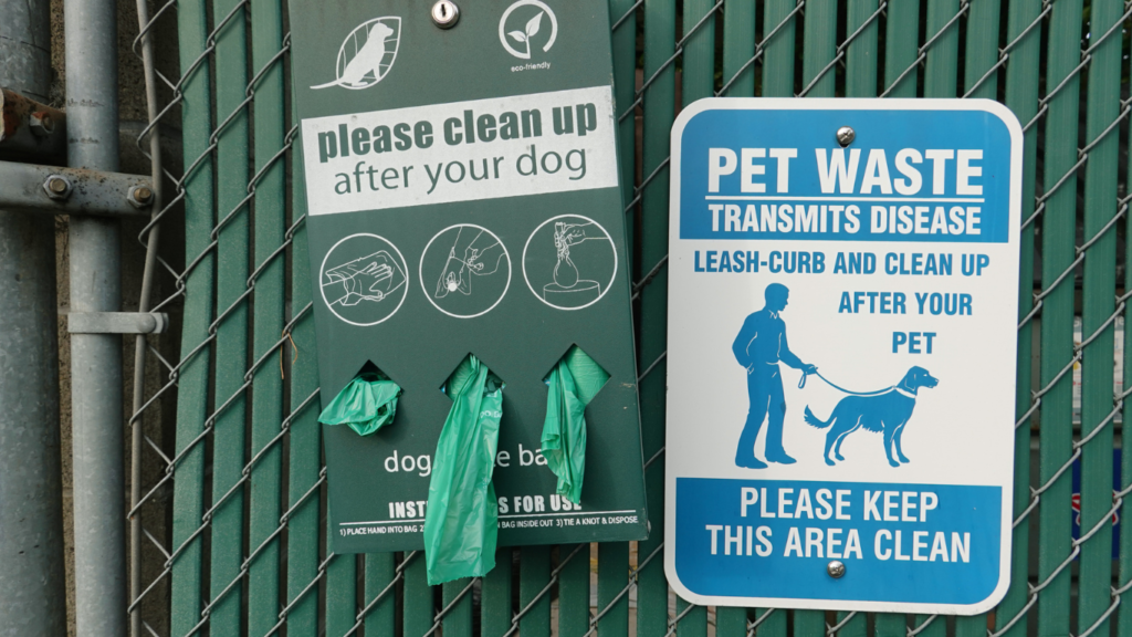 Dog owner using eco-friendly products to clean up after their dog on a walk in a park.