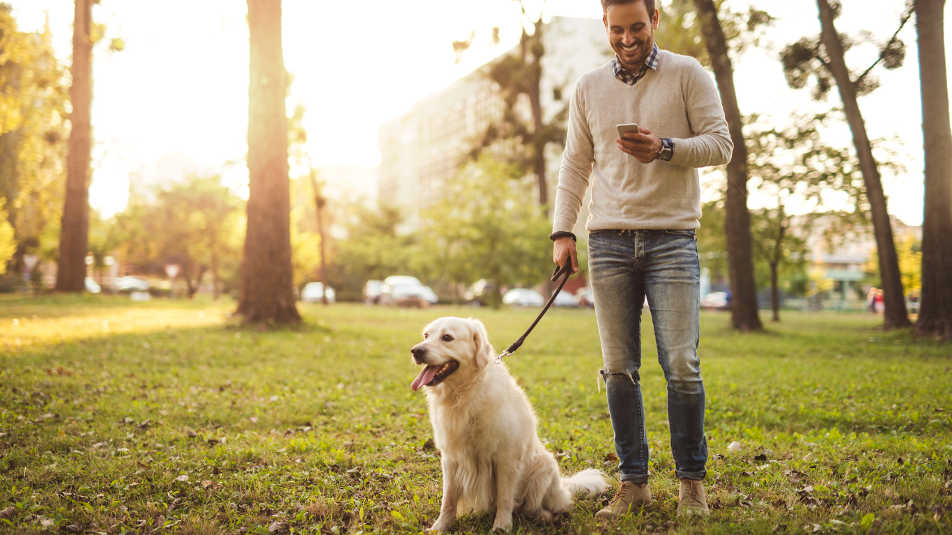 Dog owner using eco-friendly products to clean up after their dog on a walk in a park.