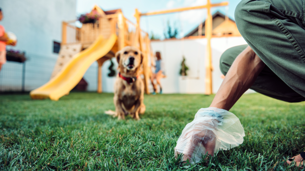 Dog owner using eco-friendly products to clean up after their dog on a walk in a park.