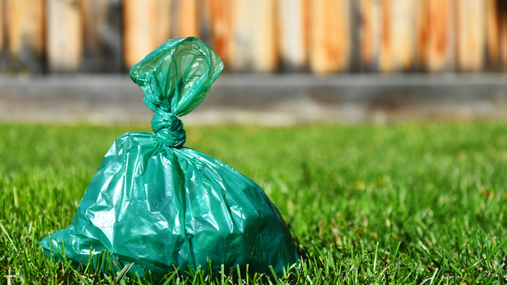 Dog owner using eco-friendly products to clean up after their dog on a walk in a park.