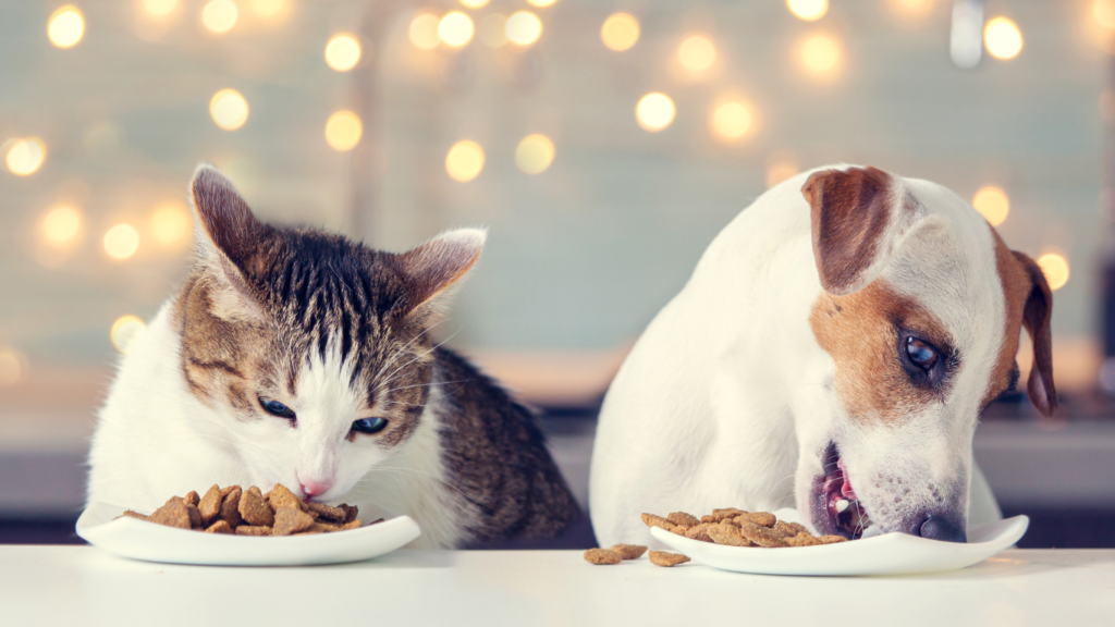 The design features a vibrant illustration of a happy dog and cat sitting together, surrounded by images of fresh fruits, vegetables, and supplement food.