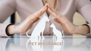 An illustration featuring various pet-related items and a piggy bank, symbolizing money-saving tips for pet parents