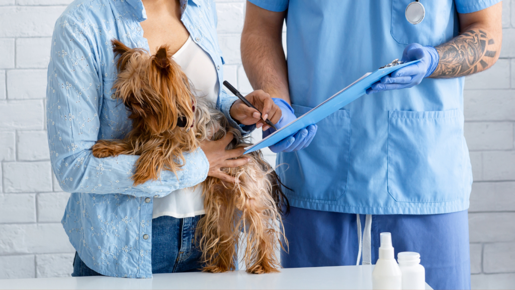 Image of a veterinarian examining a cat and dog, highlighting the importance of pet insurance for their health and protection.