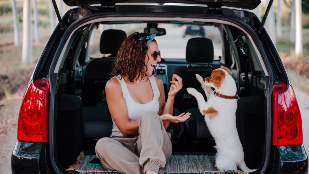 Image of a calm pet comfortably seated in a car with a happy owner, illustrating the theme of overcoming pet car anxiety through effective strategies for stress-free travel.