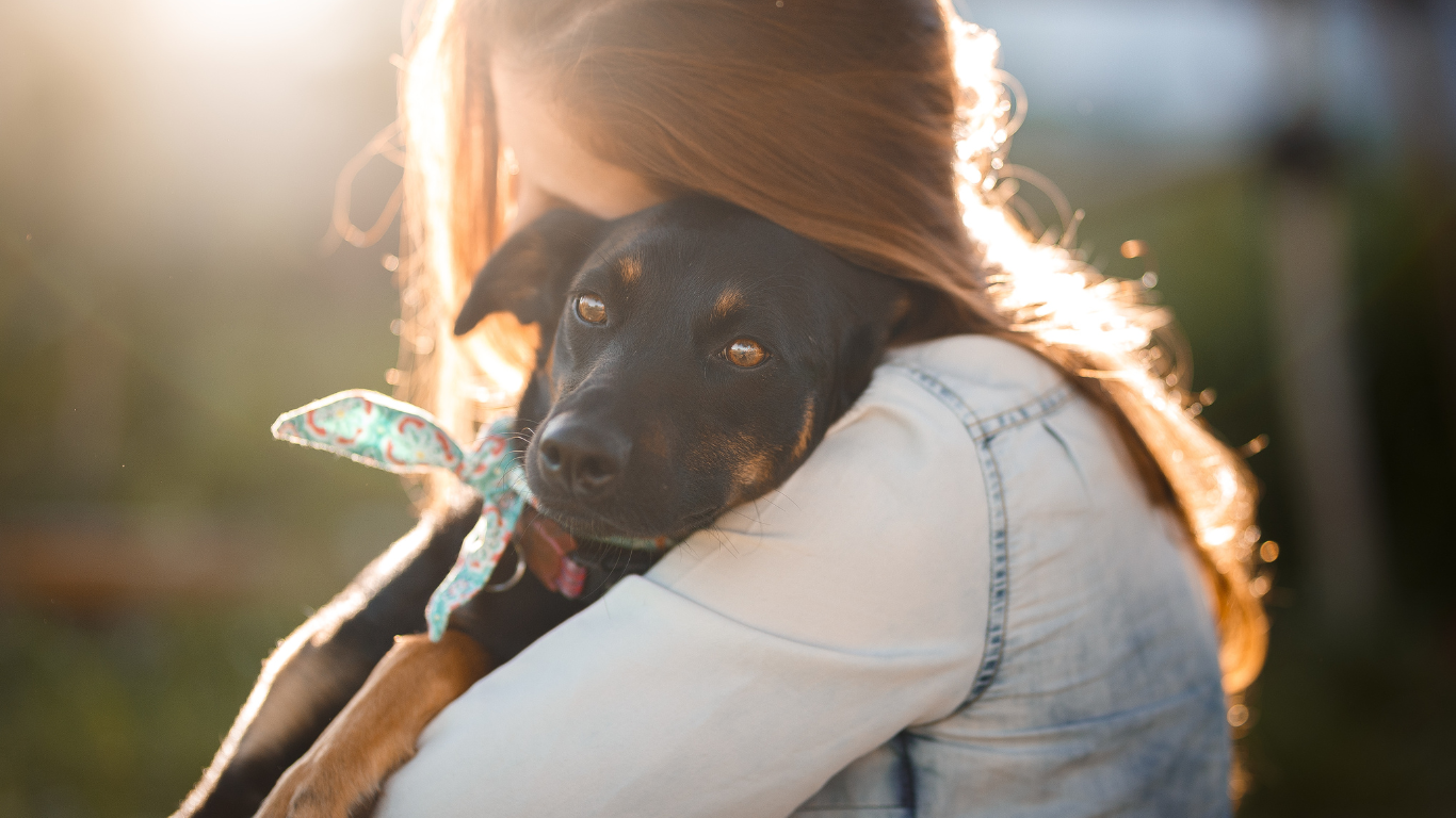 A joyful rescue dog with a wagging tail and bright eyes, happily hug owner with unconditional Love | Petocare