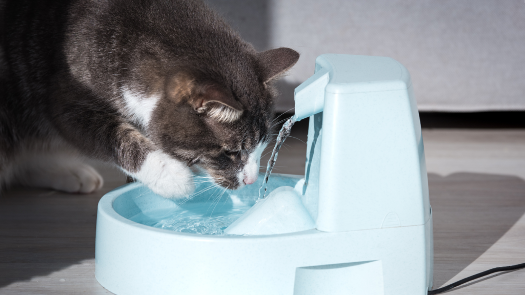 A happy pet sitting in the shade under a tree, with a water bowl nearby, representing the concept of protecting pets from dehydration and heat stroke with expert tips.