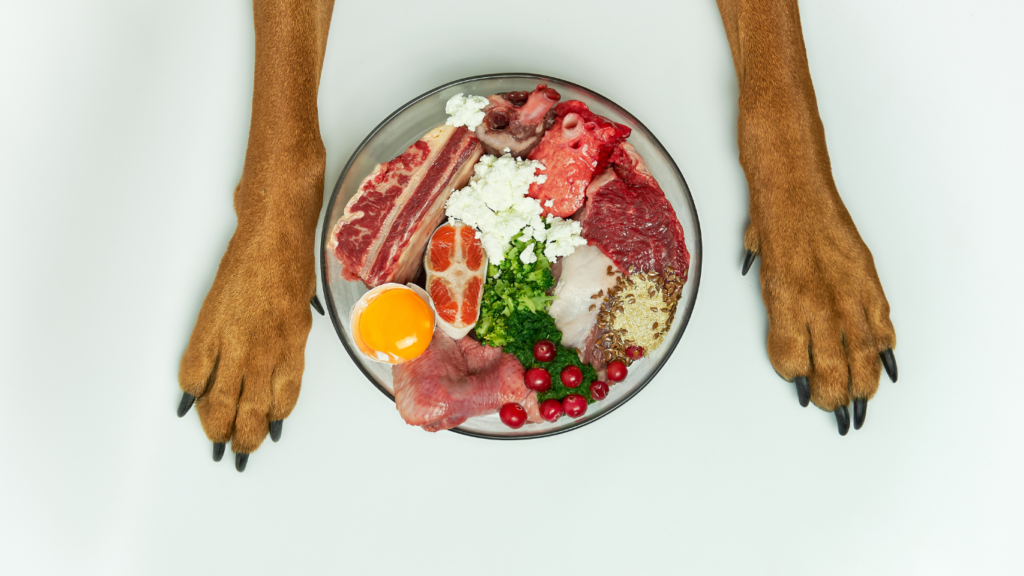 Learn how to choose Healthy Pet Food with our comprehensive guide. Discover essential tips for reading labels, understanding ingredients, and ensuring optimal nutrition for your furry friend.