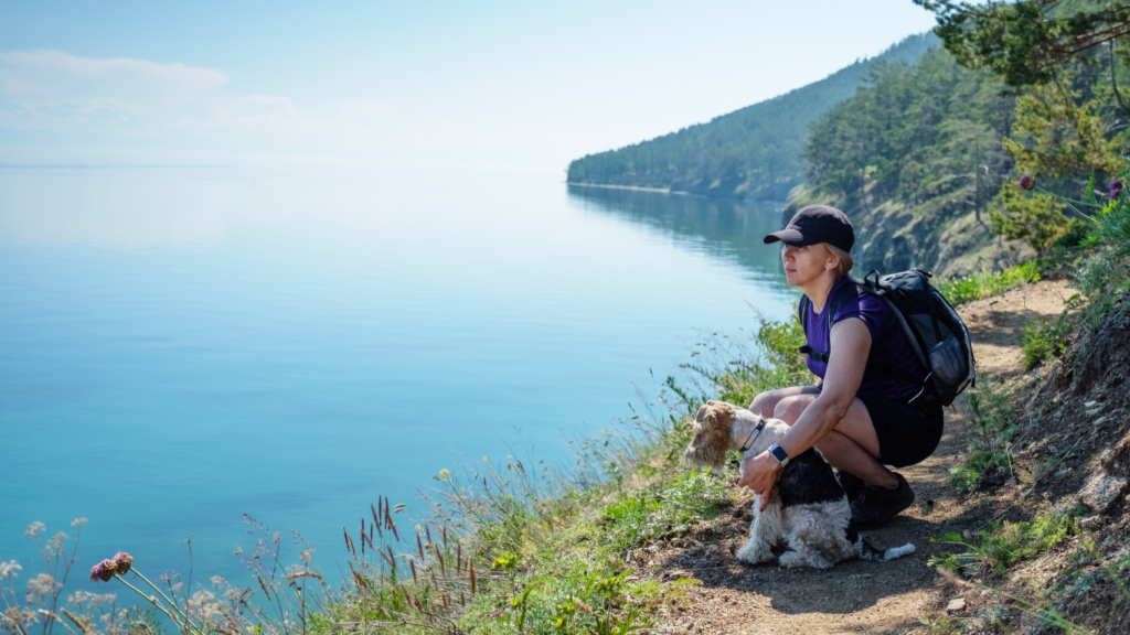 Image featuring various outdoor adventure gear for dogs, including leashes, collapsible bowls, hiking boots, and more